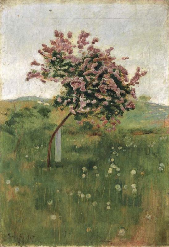 Ferdinand Hodler THe Lilac Sweden oil painting art
